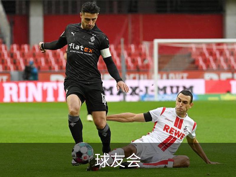 走进球友会